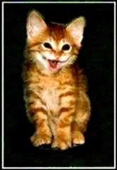 KEEP SMILING!