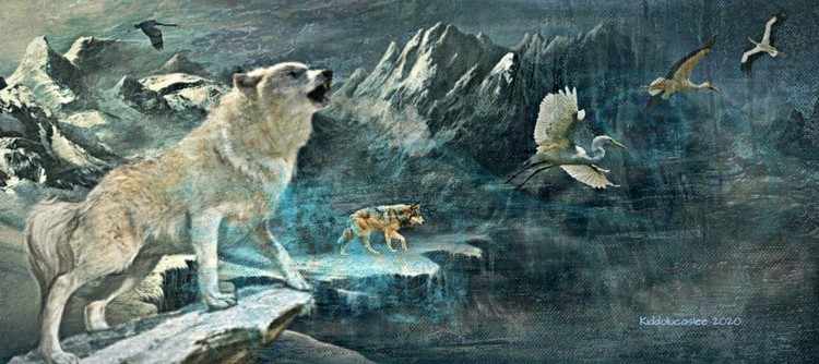  The Cold Howling * 2020 Kiddolucaslee 