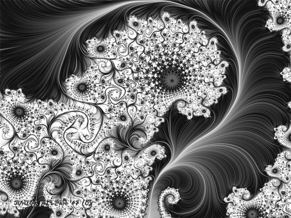 My Black & White Dream