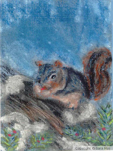 Squirrel