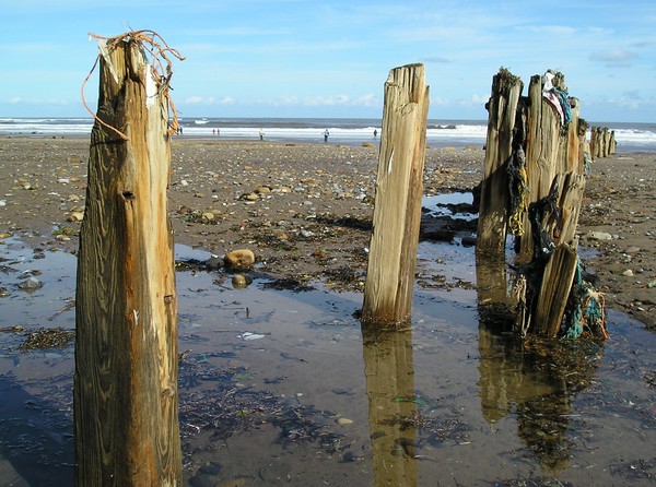 Refections on a beach