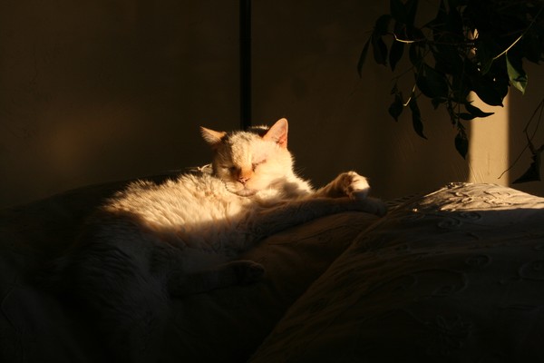 Favorite Spot