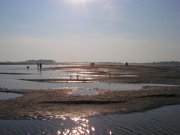 Sun, Sand, and Ocean
