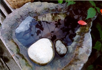Bird Bath