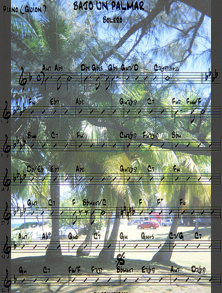 Collage Bajo Un Palmar II