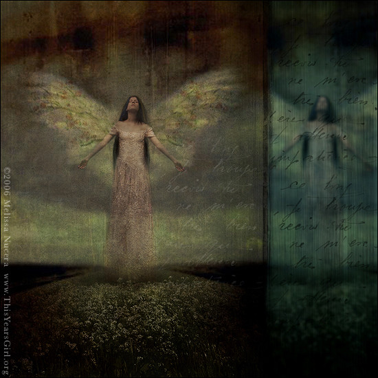 Notions Of Heaven