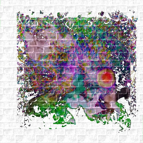 graffiti 41