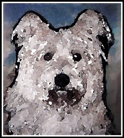 JACQUES