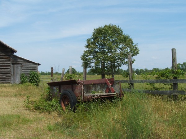 ABANDONED WAGON