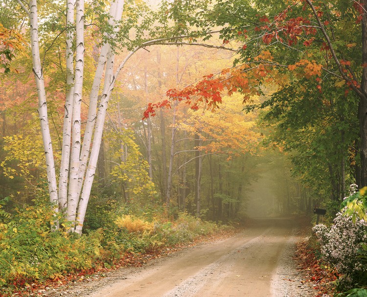 Cilly Hill Road. Underhill Vermont