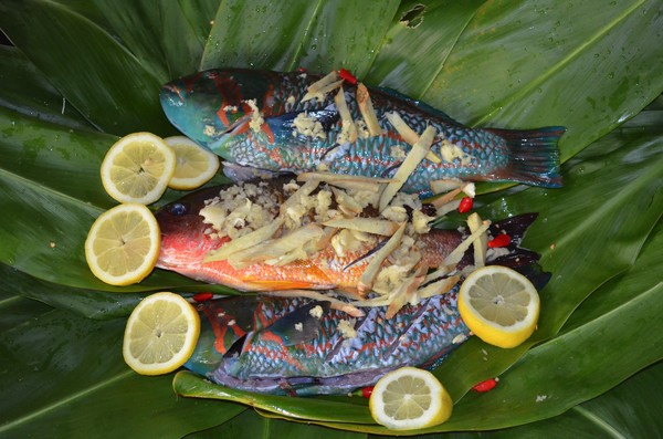 Fresh From The Ocean