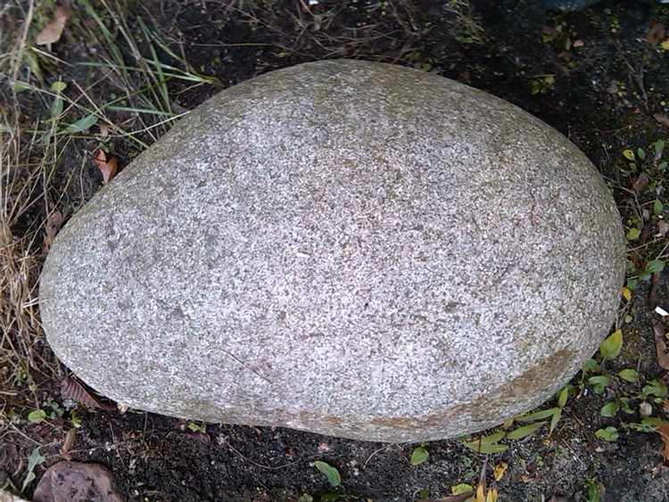 IMG01370-20101121-1336