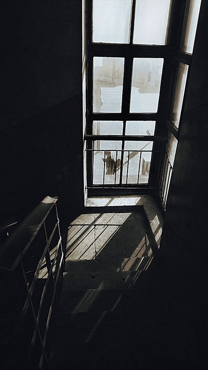 down the stairs going up