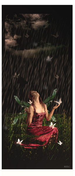 Butterfly Fairy