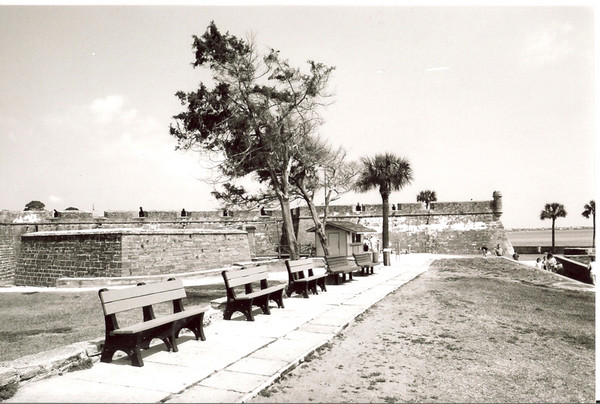 The fort