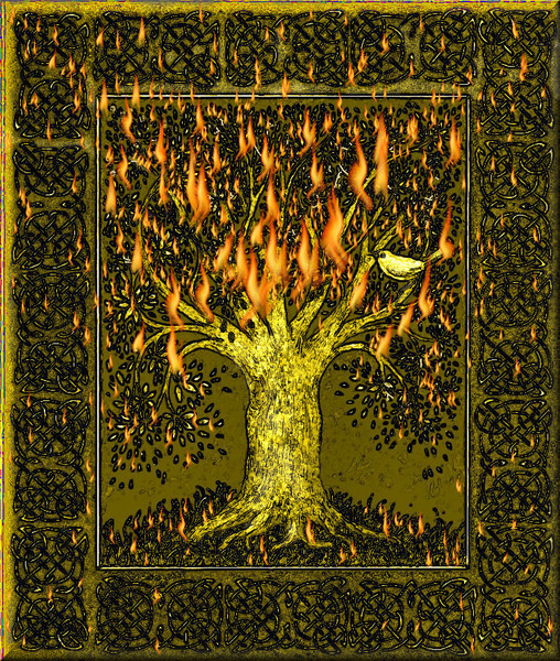 Fire Tree