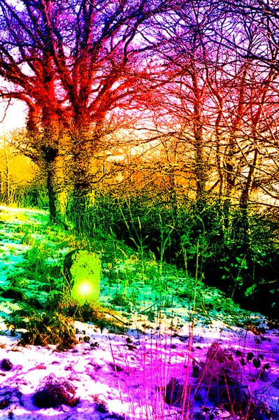 SPIRIT OF WINTER