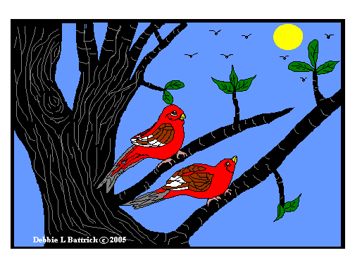 My Two Birds
