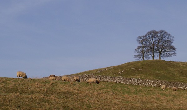 Peak District View