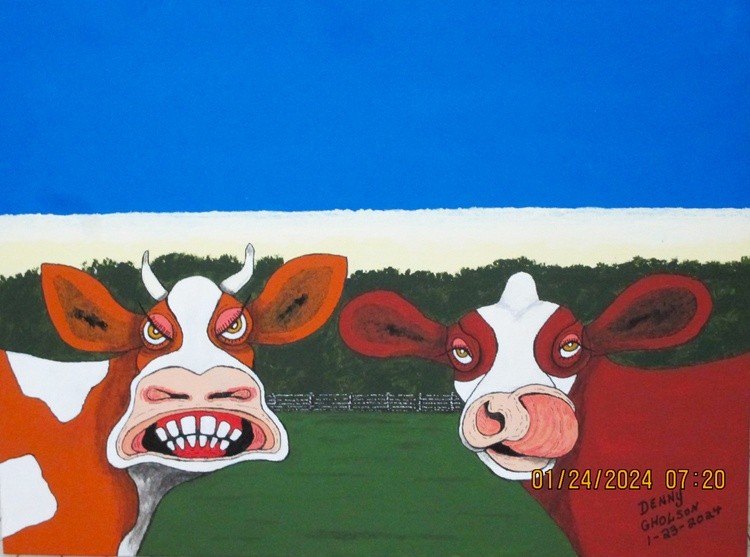 Cows