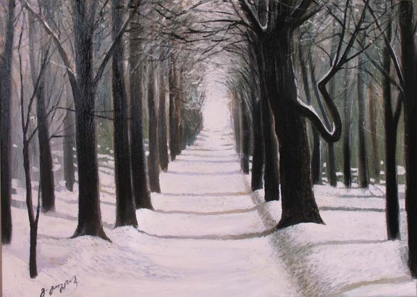 Winter forest