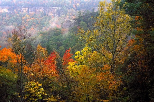 Red River Gorge by Jim Crotty 3h09