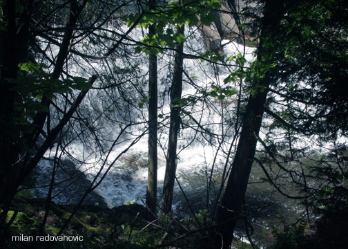 Waterfall at Bellfontain