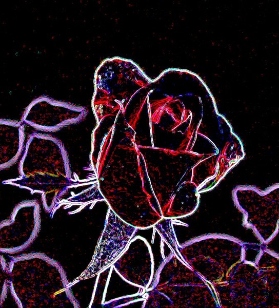 Neon Rosebud