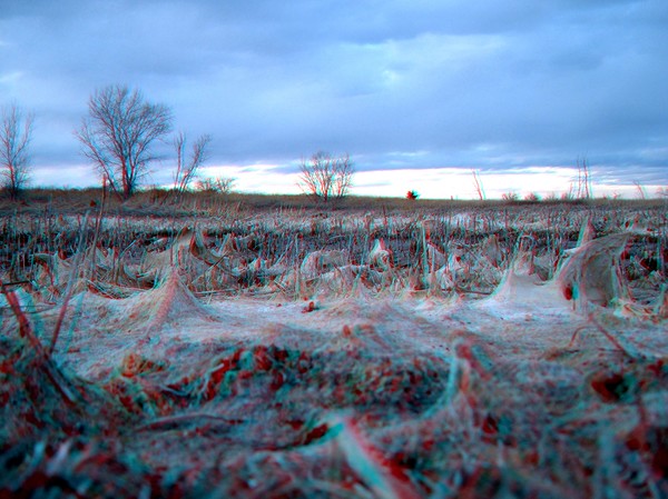 Stone Lake 3-D 3