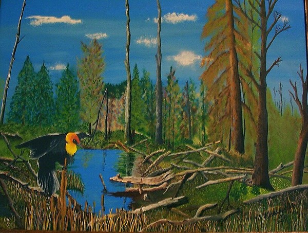 Marsh