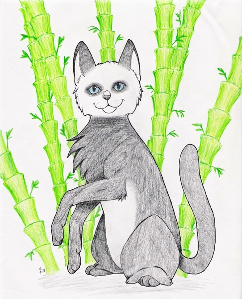 Panda Cat