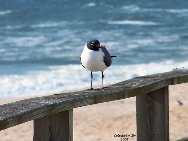 Is this my good side?