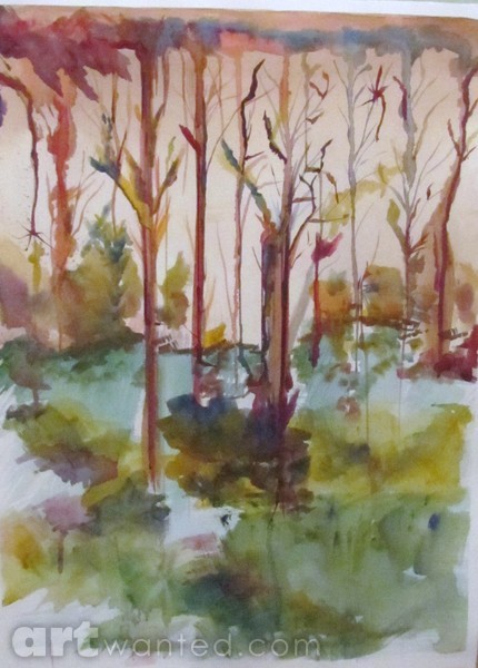 Feelings at Yellow Springs