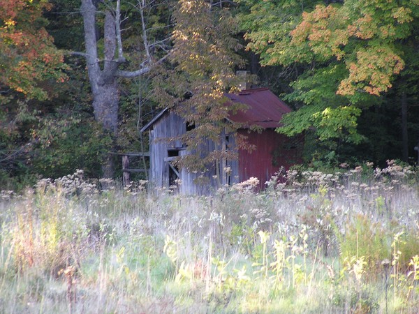 Home