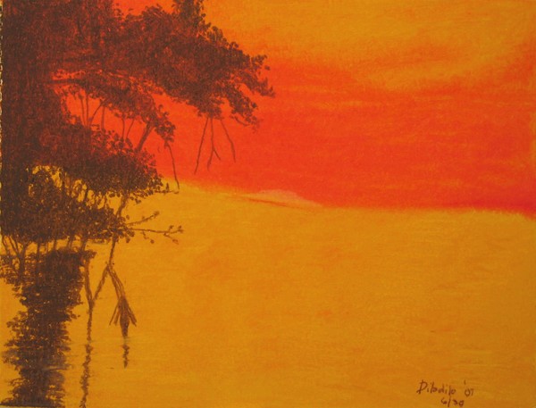 philippine mangrove sunset