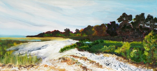 Oyster Shells on Parris Island - SOLD