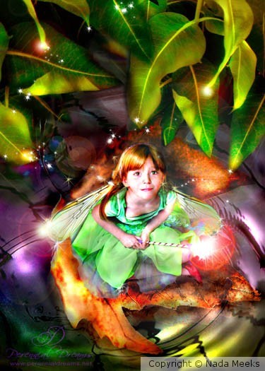 Drifting into Dreams