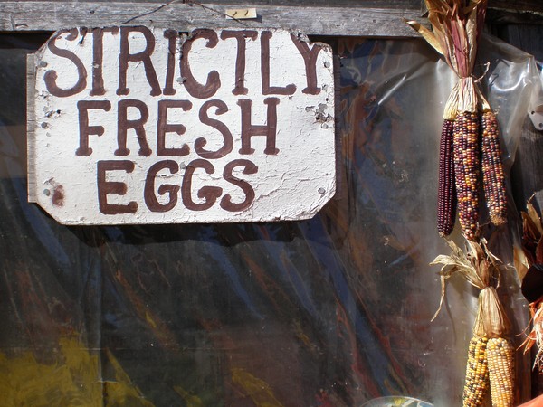 Strictly Fresh Eggs