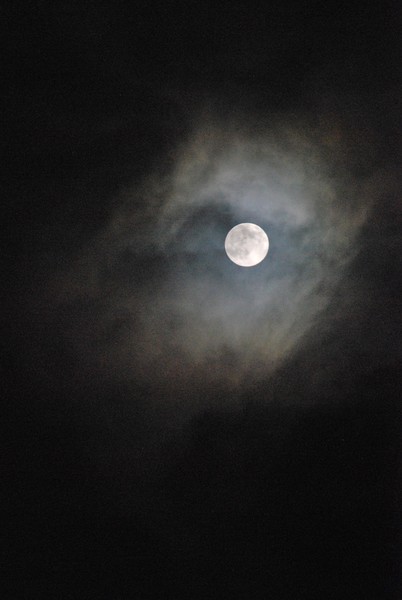 Harvest Moon