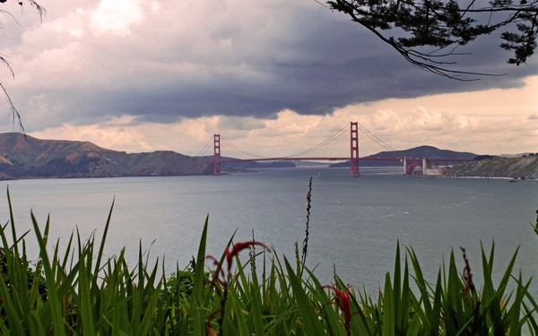 San Francisco Bay