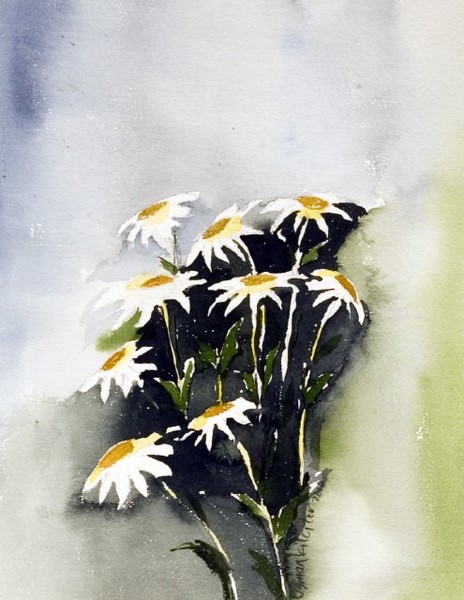 Daisys