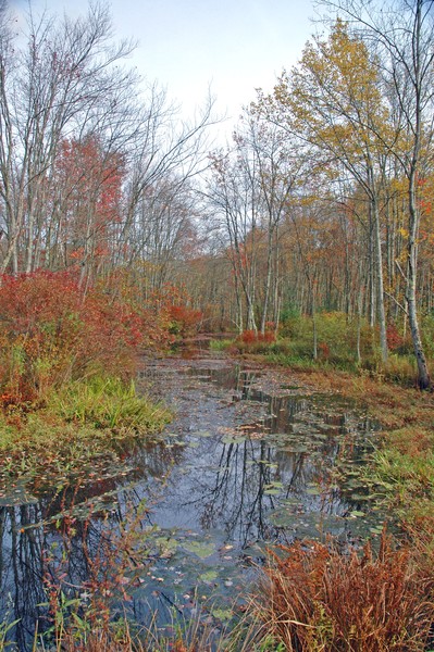Along South Road
