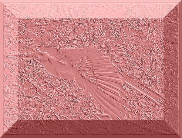 computer art series
