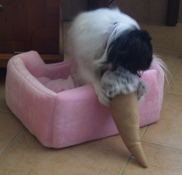 Ida's new Pink Princess Bed