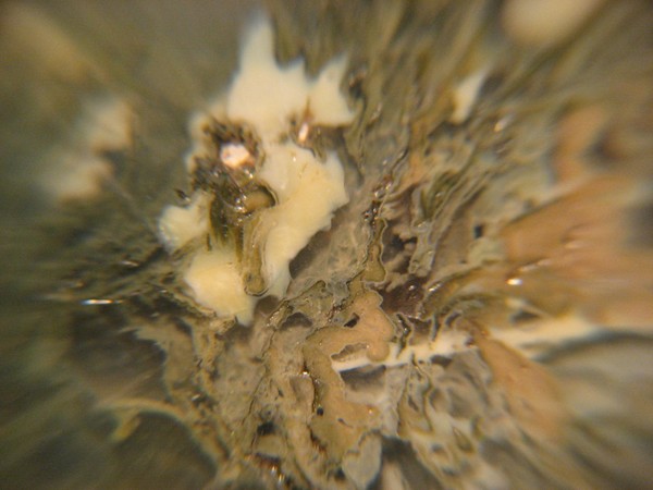 A closer look