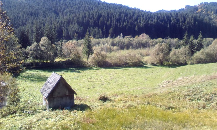 Ulma,village near Ucrain border