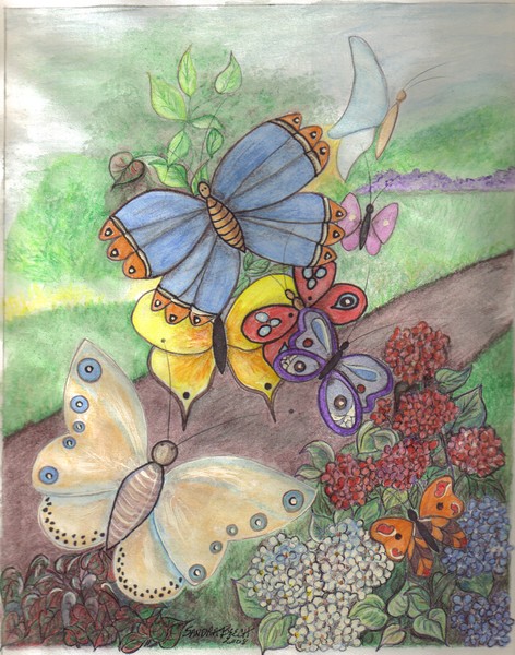 Butterflies at Dawn