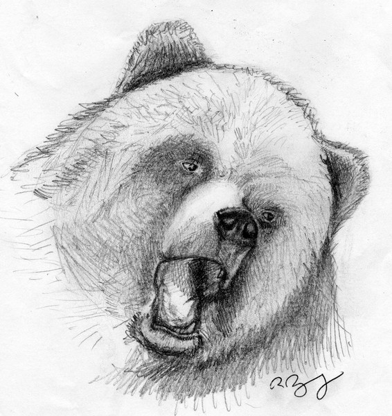 Sketch of a Bear