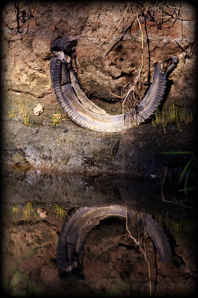 Riverbank Archaeology