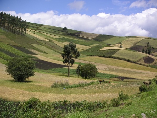 Campo, Chimborazo, Ecuador